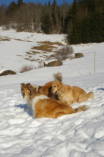 Fotos f. Homepage Galerie 010